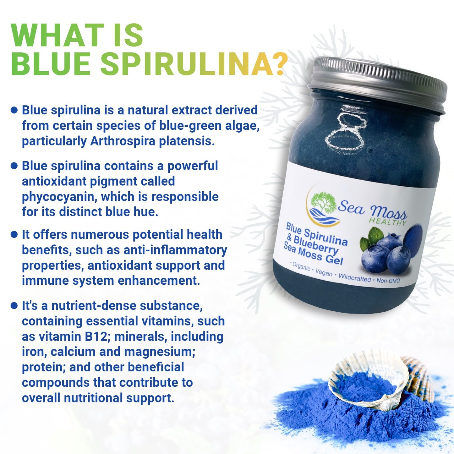 Blue Spirulina and Blueberry Sea Moss Gel